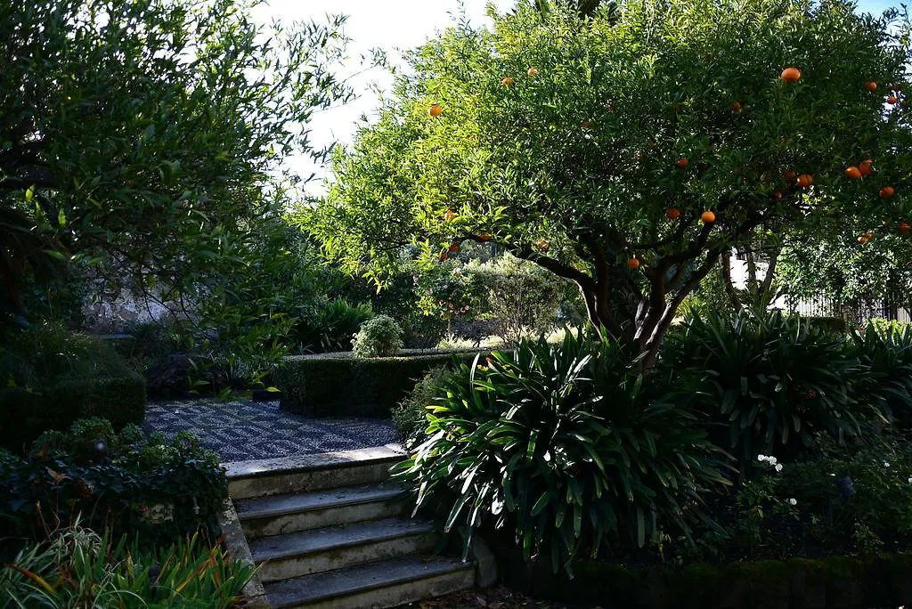 Bed & Breakfast B&B Villa Maria Giarre